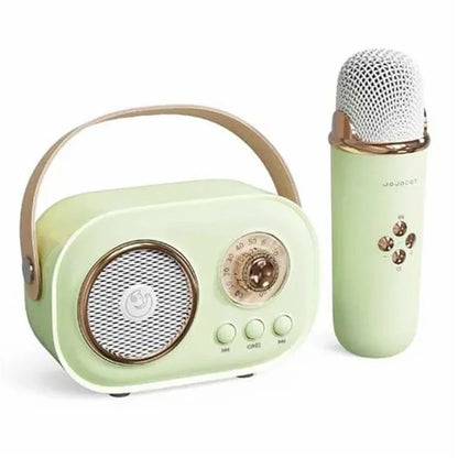 C20 Plus Home Karaoke Wireless Bluetooth Speaker Support TF Card, with Microphone