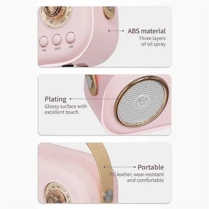 C20 Plus Home Karaoke Wireless Bluetooth Speaker Support TF Card, with Microphone