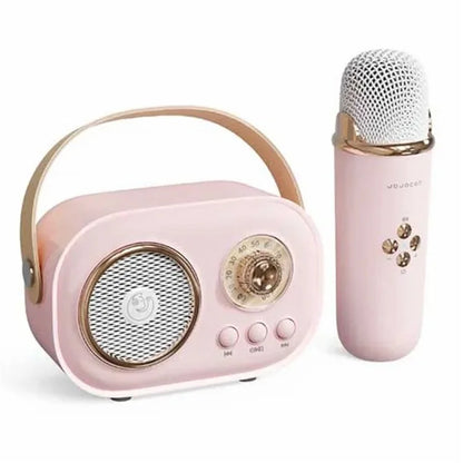 C20 Plus Home Karaoke Wireless Bluetooth Speaker Support TF Card, with Microphone