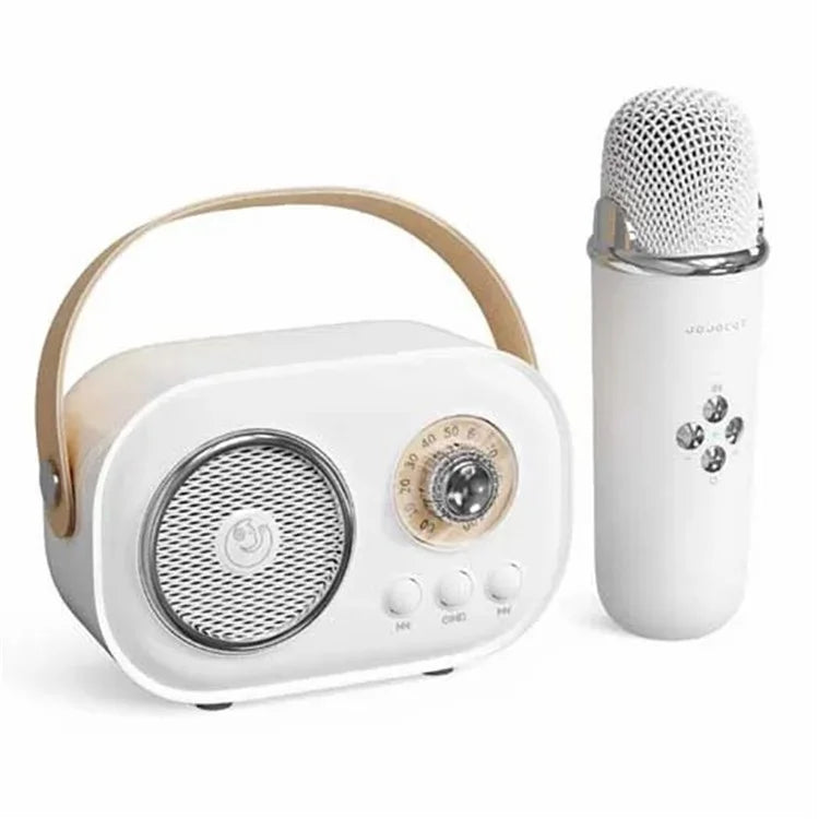 C20 Plus Home Karaoke Wireless Bluetooth Speaker Support TF Card, with Microphone