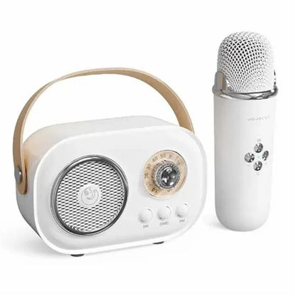 C20 Plus Home Karaoke Wireless Bluetooth Speaker Support TF Card, with Microphone