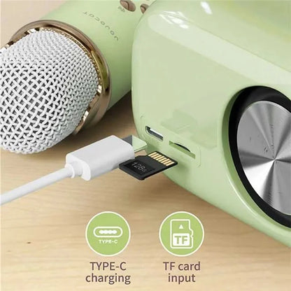 C20 Plus Home Karaoke Wireless Bluetooth Speaker Support TF Card, with Microphone