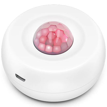 WiFi Human Presence Sensor Tuya Smart App Control Motion Detection PIR Sensor