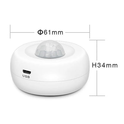 WiFi Human Presence Sensor Tuya Smart App Control Motion Detection PIR Sensor