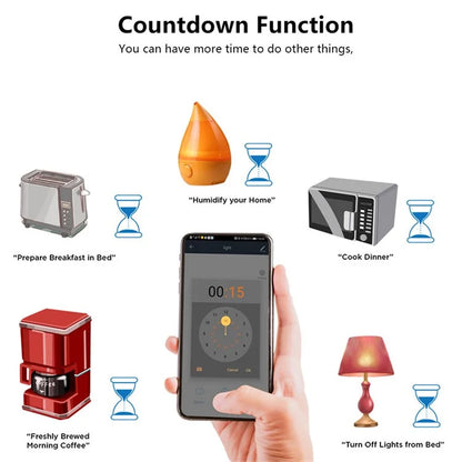 DS-101JL-2 2 Gang WiFi + Bluetooth Dual Mode APP Voice Control Smart Touch Wall Switch