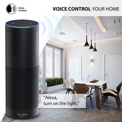 DS-101JL-2 2 Gang WiFi + Bluetooth Dual Mode APP Voice Control Smart Touch Wall Switch