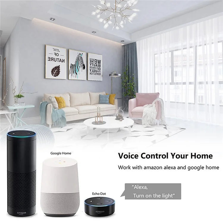 DS-101JL-2 2 Gang WiFi + Bluetooth Dual Mode APP Voice Control Smart Touch Wall Switch