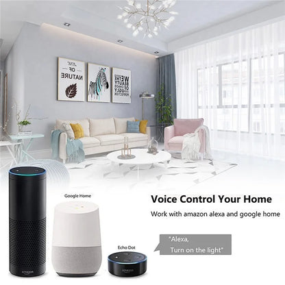 DS-101JL-2 2 Gang WiFi + Bluetooth Dual Mode APP Voice Control Smart Touch Wall Switch