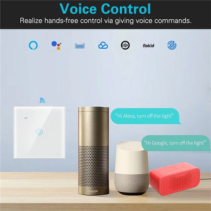 DS-101JL-1 1 Gang WiFi + Bluetooth Dual Mode APP Voice Control Smart Touch Wall Switch