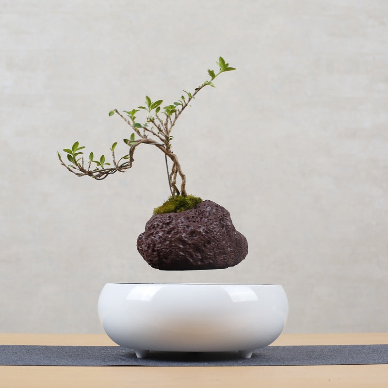 ELECTROPRIME Volcanic Rock Flower Pot + Imitation Ceramic Resin Base Magnetic Levitation Potted Plant Home Decoration, US Plug