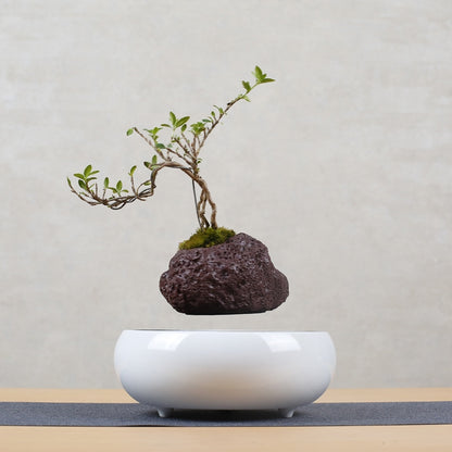 ELECTROPRIME Volcanic Rock Flower Pot + Imitation Ceramic Resin Base Magnetic Levitation Potted Plant Home Decoration, US Plug