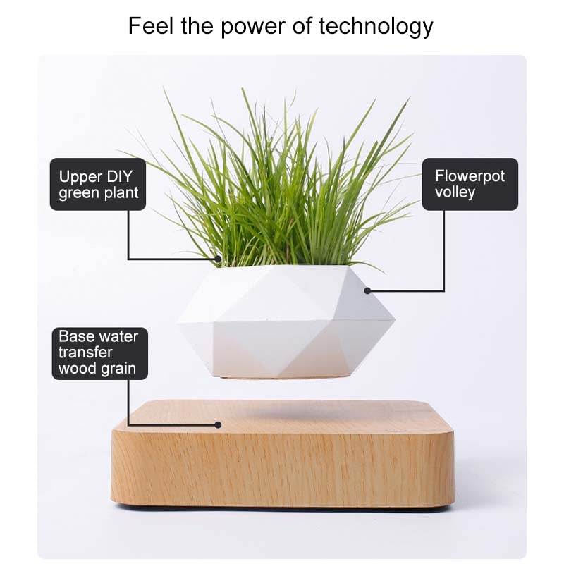 ELECTROPRIME Diamond Plastic Flower Pot + Light Wood Grain Base Magnetic Levitation Potted Plant Home Decoration, US Plug