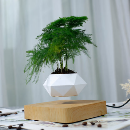 ELECTROPRIME Diamond Plastic Flower Pot + Light Wood Grain Base Magnetic Levitation Potted Plant Home Decoration, US Plug