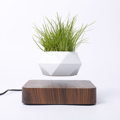 ELECTROPRIME Diamond Plastic Flower Pot + Dark Wood Grain Base Magnetic Levitation Potted Plant Home Decoration, EU Plug