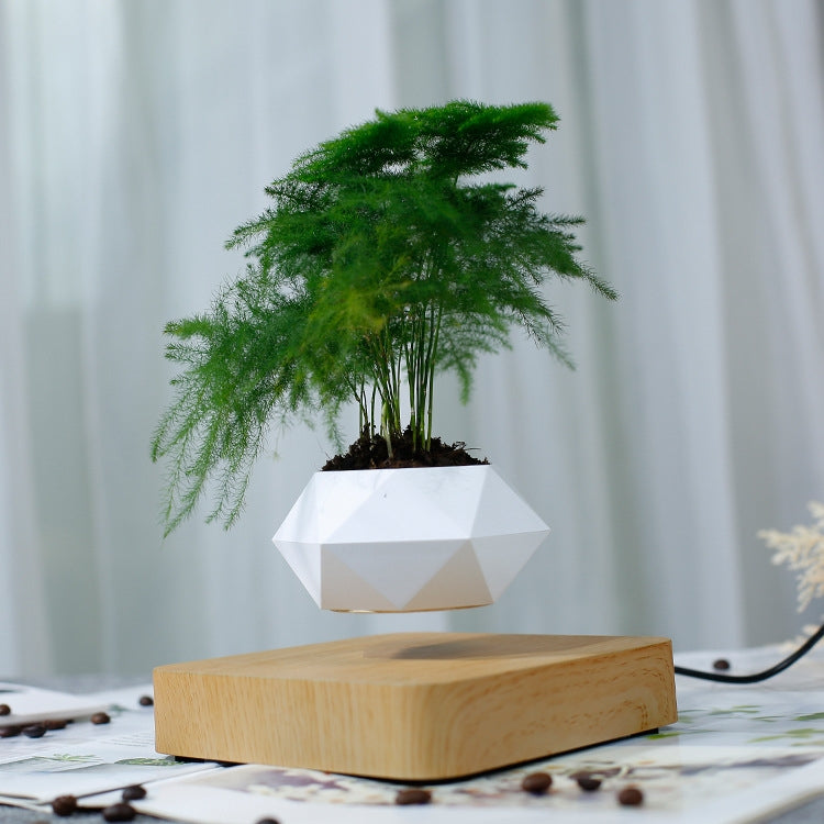 ELECTROPRIME Diamond Plastic Flower Pot + Light Wood Grain Base Magnetic Levitation Potted Plant Home Decoration, EU Plug