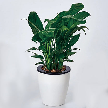ELECTROPRIME Lazy Flower Pots Automatic Water-absorbing Hydroponic Potted Plants Circular Resin Plastic Flower Pots Double-layer Design Self Watering Planter, Diameter: 12cm, Height: 12.2cm(White)
