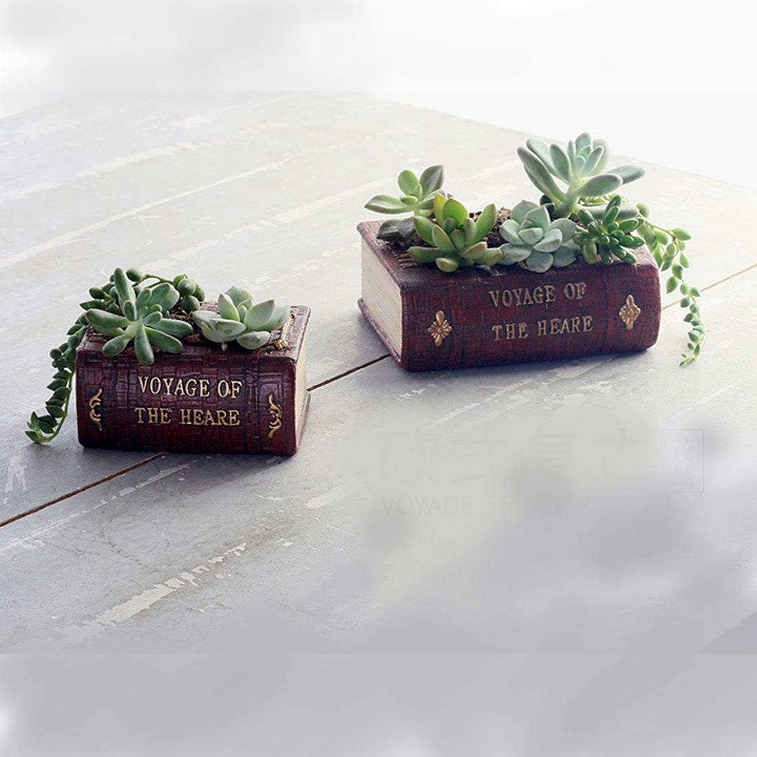 ELECTROPRIME Retro Literature Book Pots Multi-meat Plant Bonsai Micro-landscape Vintage Book Flower Pot Planter for Flower Succulent Cacti Herbs Plant Bed Box Case FlowerPot, Size: 14*10.5*5cm