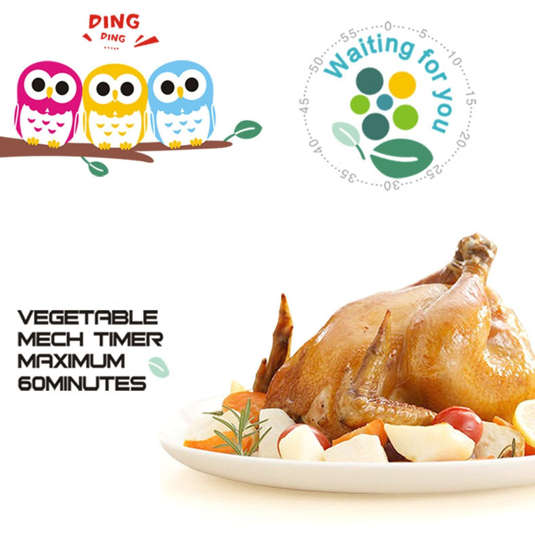 ELECTROPRIME Owl Shape 60 Minutes Mechanical Kitchen Cooking Count Down Alarm Timer Home Decorating Gadget, Random Color Delivery
