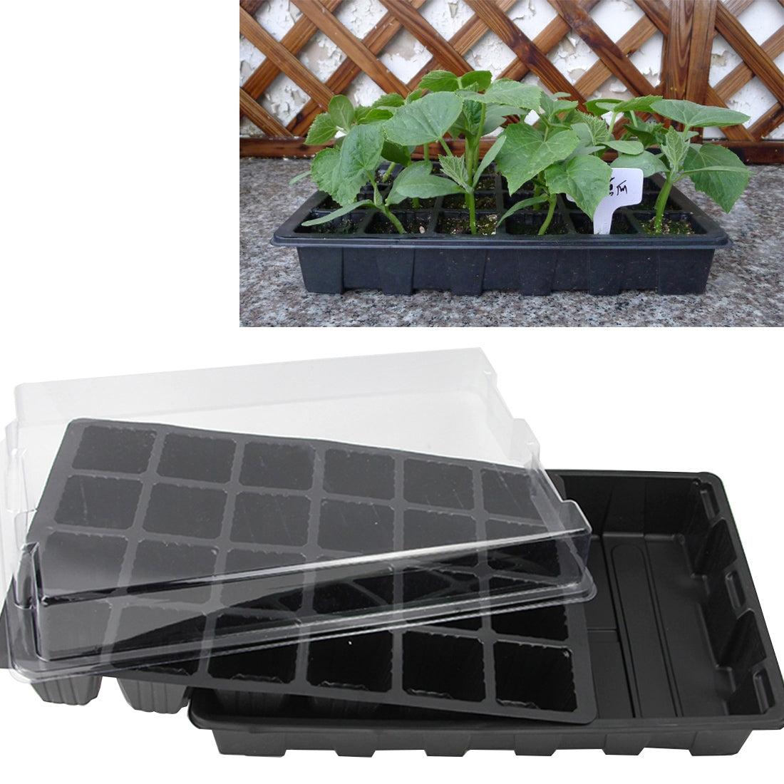 ELECTROPRIME Seedling Tray Sprout Plate 24 Holes Nursery Pots Tray Lids Box For Gardening Bonsai Mini Greenhouse Nursery Plate Three Sets