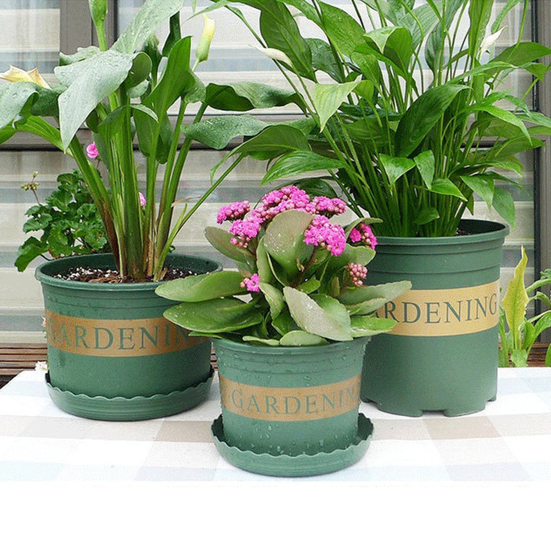 ELECTROPRIME Flower Pots Plant Nursery Pots Plastic Pots Creative Gallons Pots with Tray,Size:15*22*18cm