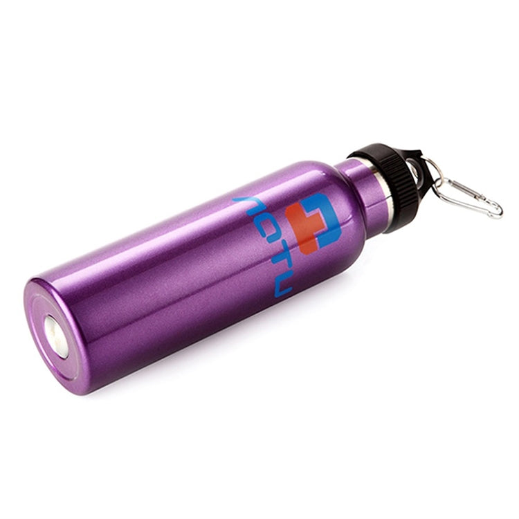 ELECTROPRIME Aotu AT6646 Outdoor Travel Kettle Car Stainless Steel Thermos Bottle (Purple)