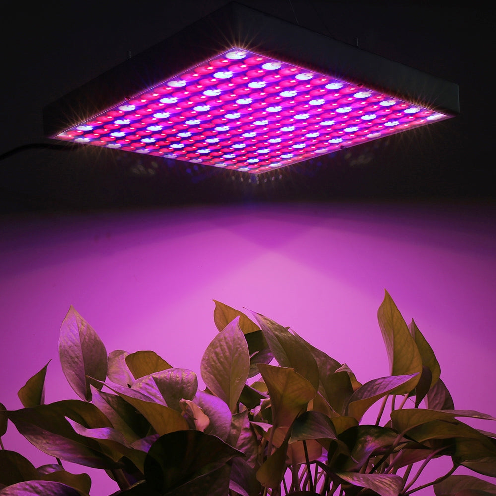 ELECTROPRIME 45W SMD 2835 Red + Blue Light LED Plant Growth Light, 225 LEDs Greenhouse Light Aquarium Light, AC 85-265V