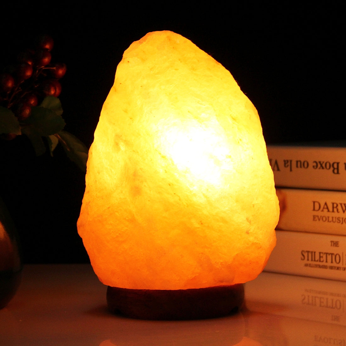 ELECTROPRIME E12 Medium Dimmable Himalayan Salt Lamp , Crystal Rock Healthy Table Desk Lamp Night Light with Wood Base & Bulb & Switch, Medium Size Weight 2-3KG, AC 110V, US Plug