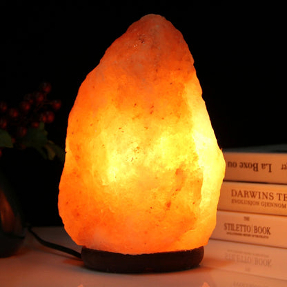 ELECTROPRIME E14 Large Dimmable Himalayan Salt Lamp , Crystal Rock Healthy Table Desk Lamp Night Light with Wood Base & Bulb & Switch, Large Size Weight 3-5KG, AC 220V