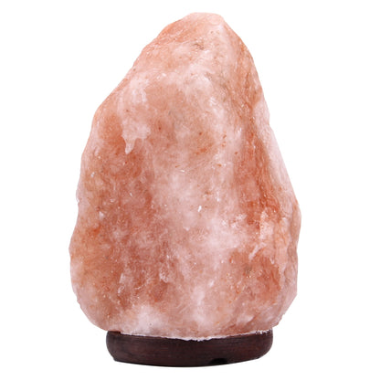 ELECTROPRIME E14 Large Dimmable Himalayan Salt Lamp , Crystal Rock Healthy Table Desk Lamp Night Light with Wood Base & Bulb & Switch, Large Size Weight 3-5KG, AC 220V