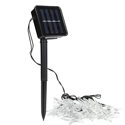 ELECTROPRIME Star Shape 20 LEDs Outdoor Garden Christmas Festival Decoration Solar Lamp String(White)