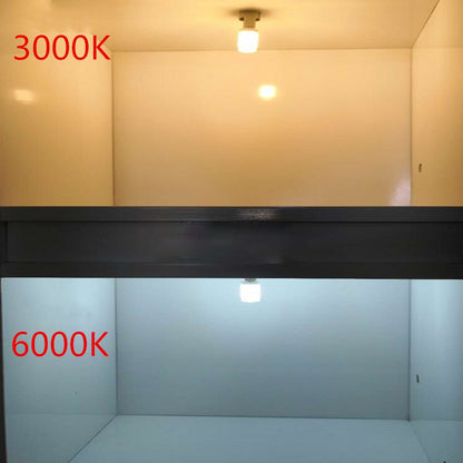 ELECTROPRIME G14 63 LEDs 3528 SMD, White Light, Transparent Cover, AC:12V