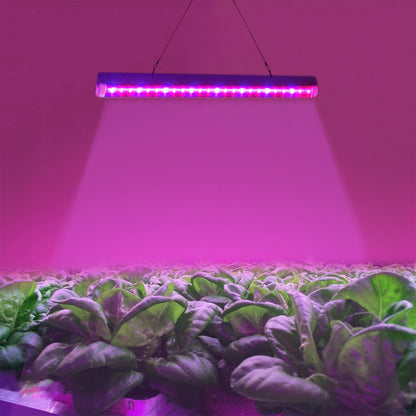 ELECTROPRIME T5 4.8W 15 LEDs Red + Blue Plant Growth Light Greenhouse Light Aquarium Light