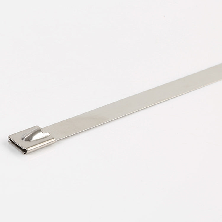 ELECTROPRIME 100 PCS 4.6x250mm Stainless Steel Metal Cable Ties Tie Zip Wrap Exhaust Heat Straps Induction Pipe