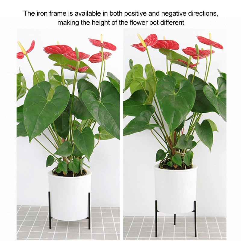 ELECTROPRIME 110mm PP Planter Flower Pot Automatic Water-absorbing Lazy Flower Pot, with Shelf