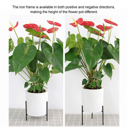 ELECTROPRIME 165mm PP Planter Flower Pot Automatic Water-absorbing Lazy Flower Pot, with Shelf
