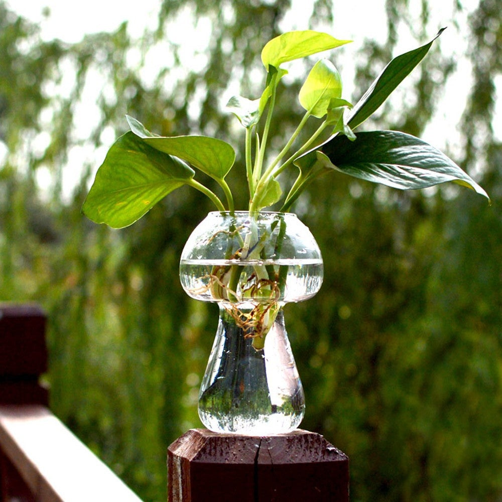 ELECTROPRIME Mushroom Shaped Glass Vase Terrarium Bottle Container Flower Home Table Decoration