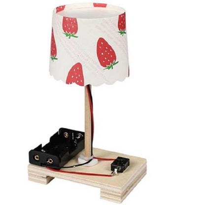 ELECTROPRIME Creative DIY Small Table Lamp Technology Small Production Primary School Students Manual Materials Science Experiment