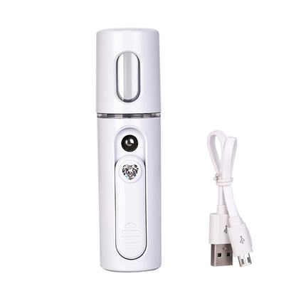 ELECTROPRIME Facial Steamer Nano Steamer Handy  Face Moisture Sprayer Rechargeable Mini USB Charging Automatic Alcohol Sprayer(white)