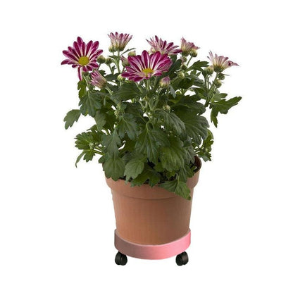 ELECTROPRIME Universal Round Wheels Pot Tray Easy Moving Plant Pot Tray Garden Plate Plastic Stand(Green)