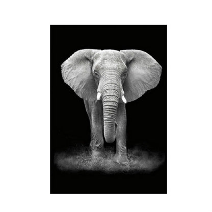 ELECTROPRIME Simple Black and White Animal Decoration Painting Study Living Room Sofa Background Wall Painting Without Frame, Size:40X50cm(Elephant)