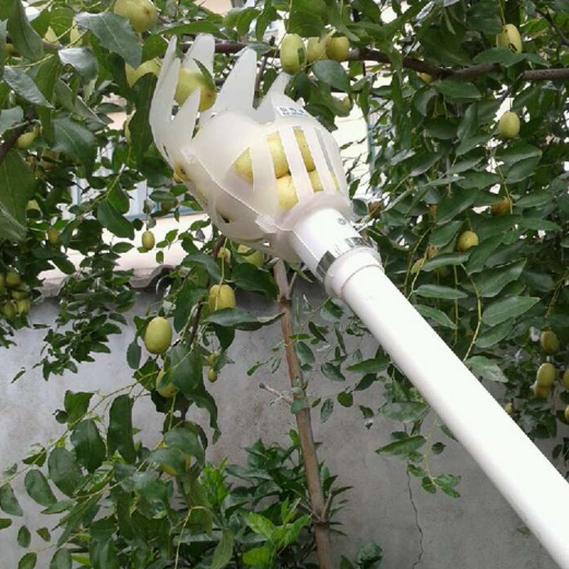 ELECTROPRIME Plum Date Apricot Pick Fruit Plastic Tool(White)