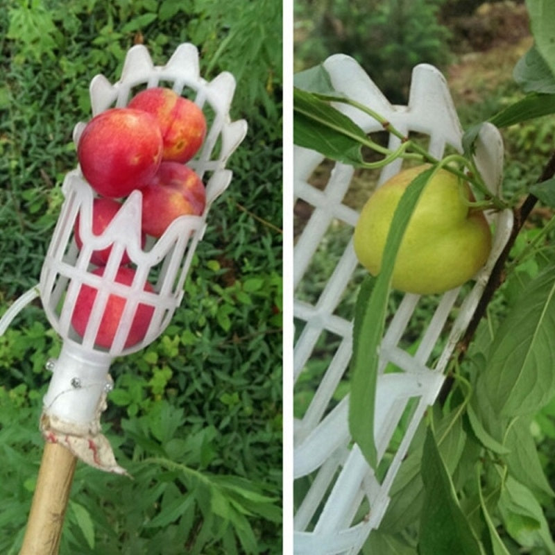 ELECTROPRIME Plum Date Apricot Pick Fruit Plastic Tool(White)