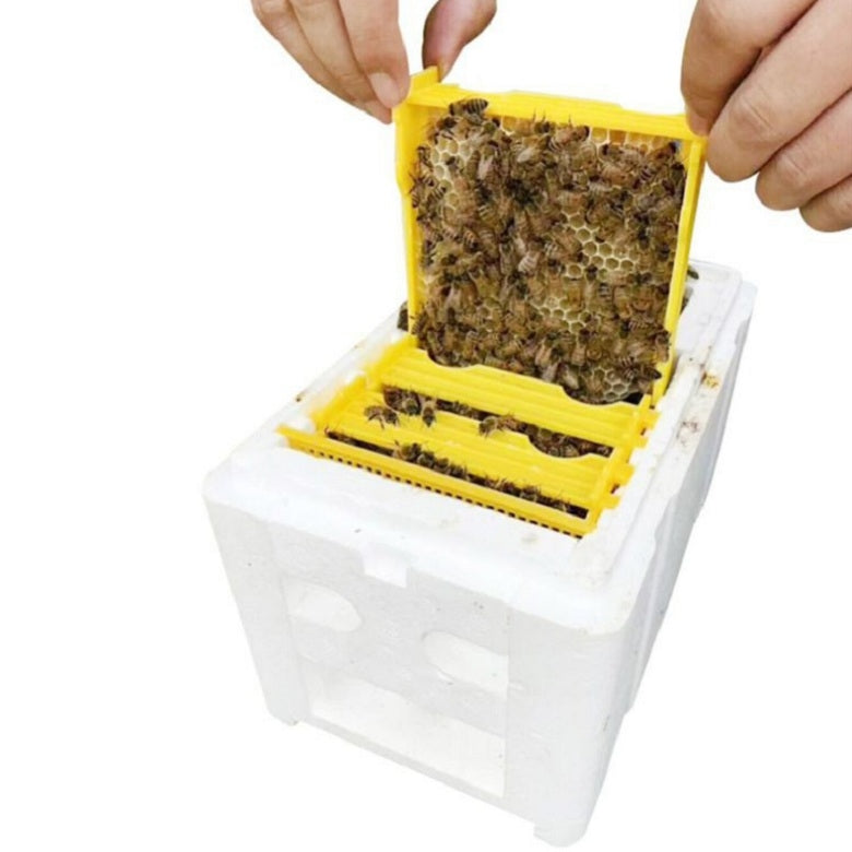 ELECTROPRIME Bee Heading Box Foam Breeding Box Pollination Box
