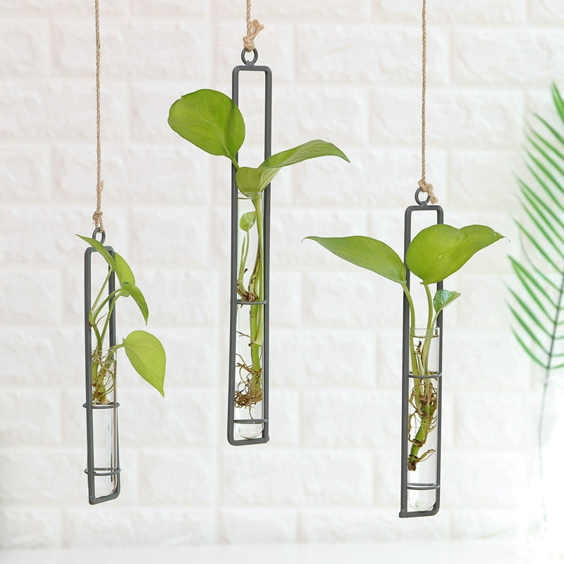 ELECTROPRIME Home Gardening Iron Art Charm Glass Wall Hanging Plant Bonsai Decorative Accessories, Size:M