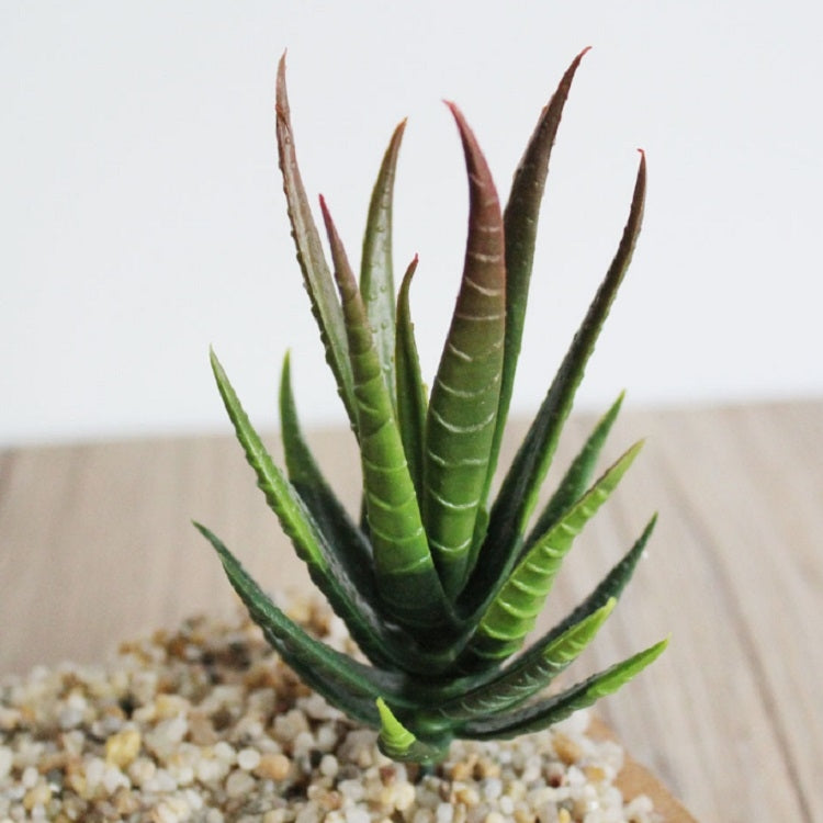 ELECTROPRIME Artificial Mini Aloe Plastic Plants Craft Floristry Landscape Garden Family Office Decoration(Green not Flocked)