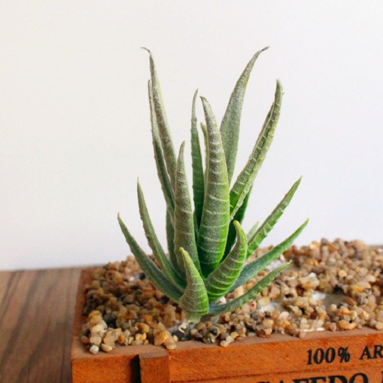 ELECTROPRIME Artificial Mini Aloe Plastic Plants Craft Floristry Landscape Garden Family Office Decoration(Flocking Green Yellow Tip)