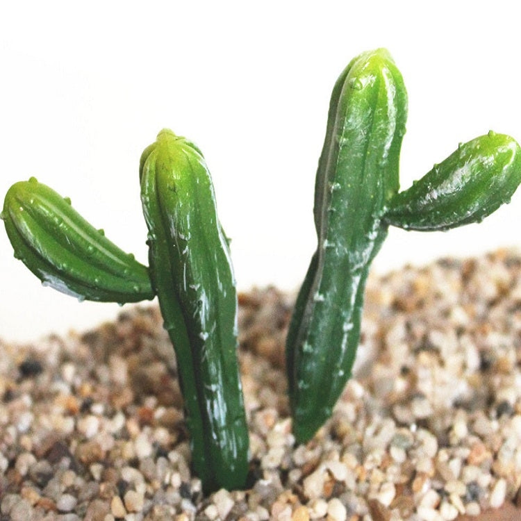 ELECTROPRIME 2 PCS Artificial Mini Cactus Garden Landscape Home Office Decoration, Style:Two Fairy Columns